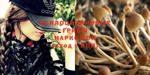 мяу мяу кристалл Гусев