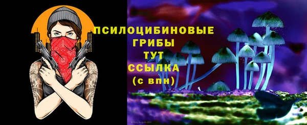 МДМА Гусиноозёрск